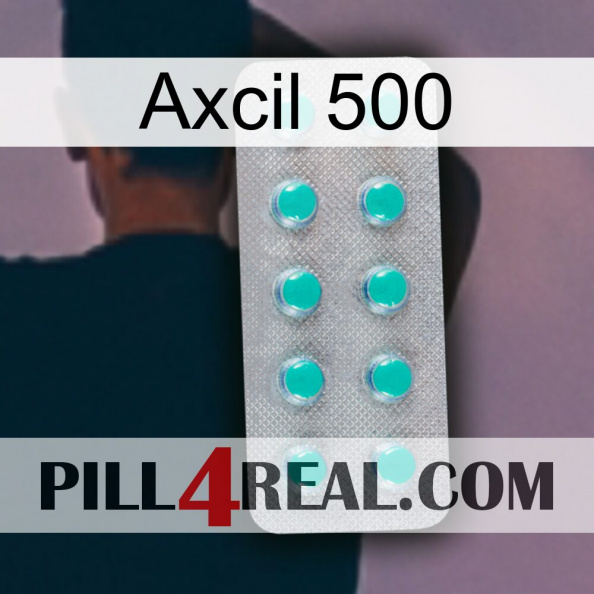 Axcil 500 28.jpg